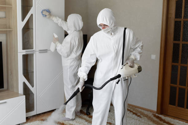 Best Forensic Mold Investigation  in Ephrata, WA